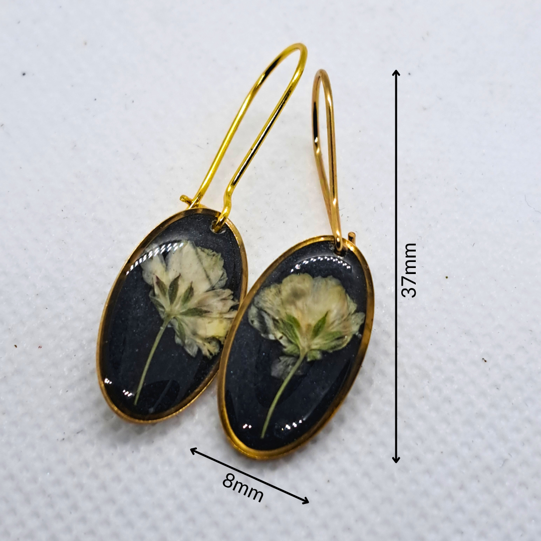 Small Oval Dangle Earring - Real White Pressed Flowers in Black Resin Set in Gold-Plated Stainless Steel