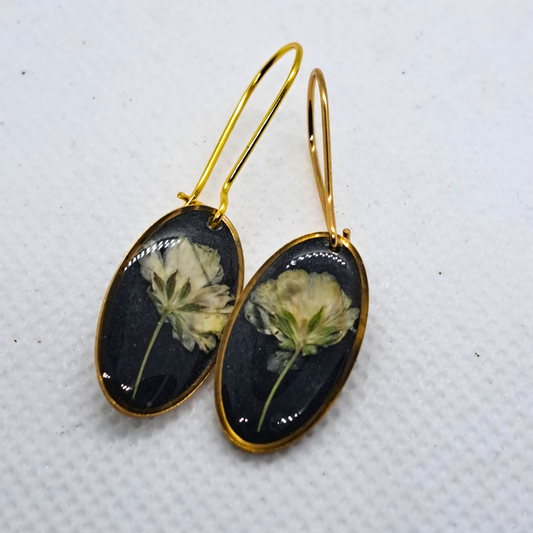 Small Oval Dangle Earring - Real White Pressed Flowers in Black Resin Set in Gold-Plated Stainless Steel