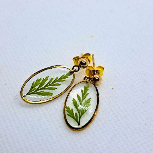 Small Oval Dangle Earring - Real Pressed Leaf in Resin Set in Gold-Plated Stainless Steel